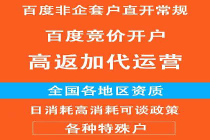 探索百度竞价代运营公司的成功之路